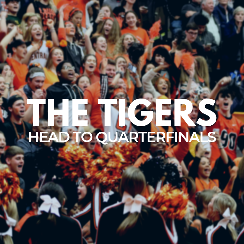 The+Tigers+Head+to+Quarterfinals