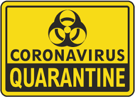 What Really Happend During Quarantine?