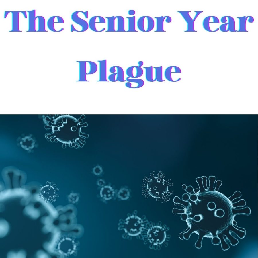 The+Senior+Year+Plague