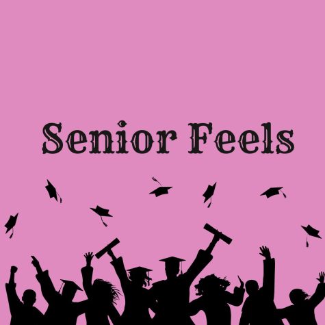 Senior Feels